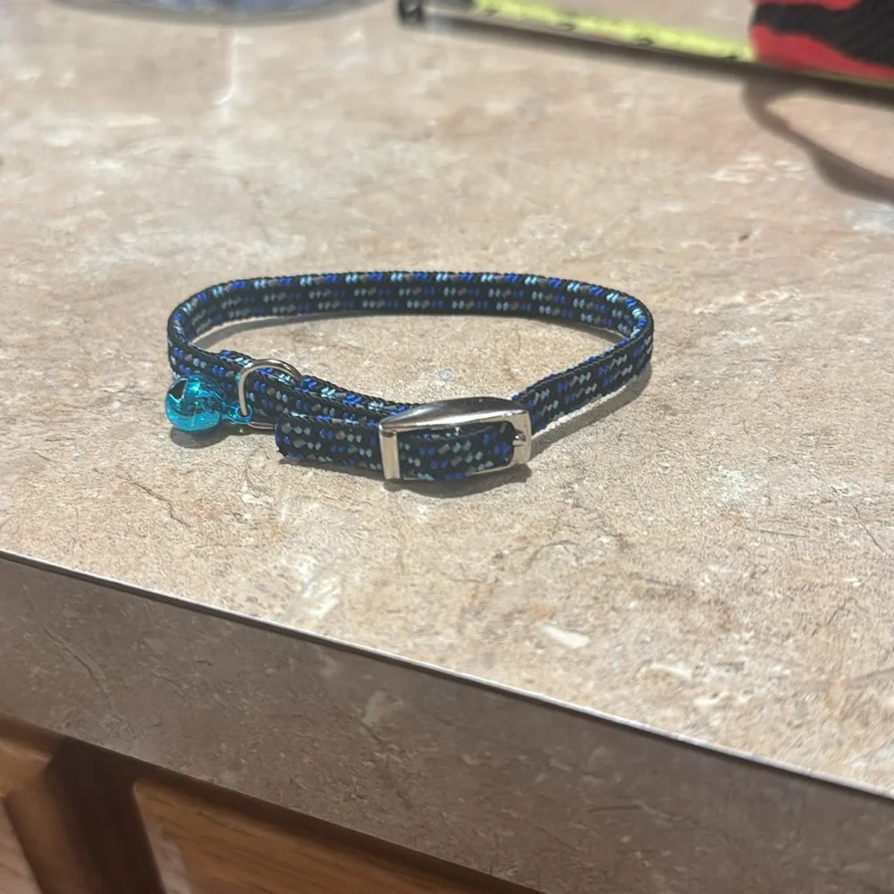 Elastic cat collar with bell